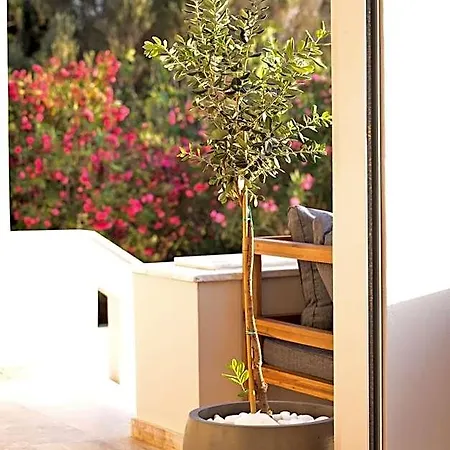 Hotel Horizon Kalymnos 3*